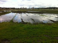 IMG 0753