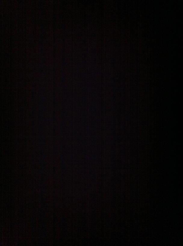 IMG 0790