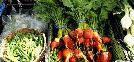 Shelling Peas and Detroit Golden Beets