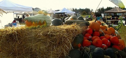 Wilbur's Squash Monster at work! Note that it likes to eat pumpkins.
