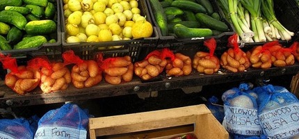 Season's end produce!