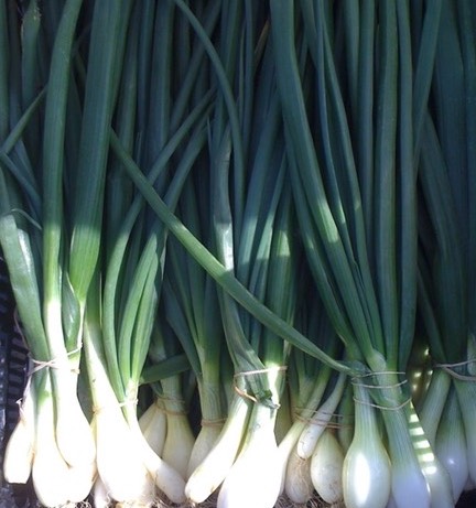 onions