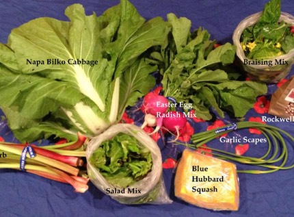 Week 1 Photo of Produce